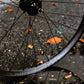 XCM 9series Wheelset